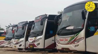 Jarang yang Tahu, 5 Kepala Daerah Ini Ternyata Juga Pengusaha Bus