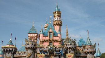 Niat Lamaran Romantis di Disneyland, Cincin Lelaki Ini Malah Direbut Petugas