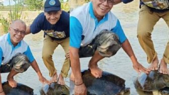 Fotonya Berdiri di Atas Kura-kura Viral, 2 Kepala Dinas Ini Beri Penjelasan
