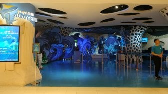Keren, Jakarta Aquarium Boyong Kutu Laut dan Gurita Raksasa ke Indonesia