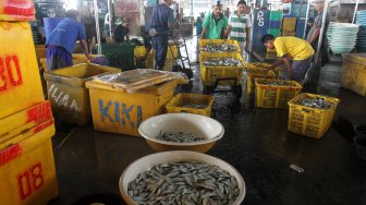 Aktivitas di Pasar Ikan Muara Angke, Jakarta, Kamis (20/6). [Suara.com/Arief Hermawan P]