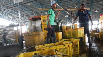 Aktivitas di Pasar Ikan Muara Angke, Jakarta, Kamis (20/6). [Suara.com/Arief Hermawan P]