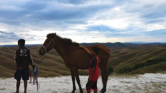 Bukit Wairinding, Padang Sabana Nan Eksotis di Tanah Sumba