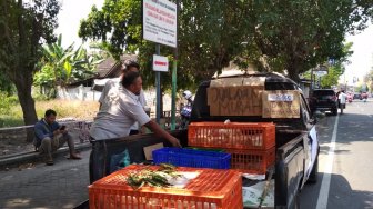 Aksi Lanjutan, Besok Pinsar Jateng Bagikan 10 Ribu Ayam Gratis di Solo