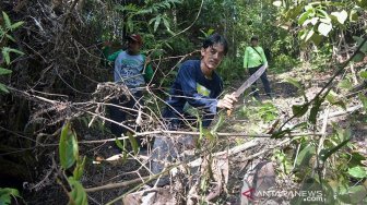 Pengawal Adat Dubalang Jadi Jagawana Hutan Rimbang Baling