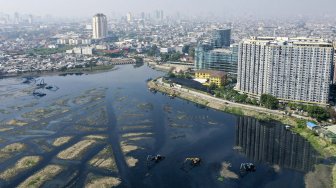 Sejumlah pekerja dengan menggunakan alat berat melakukan pengerukan lumpur di Waduk Pluit, Jakarta, Selasa (25/6). ANTARA FOTO/Nova Wahyudi