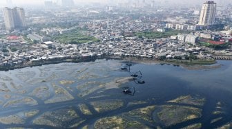 Sejumlah pekerja dengan menggunakan alat berat melakukan pengerukan lumpur di Waduk Pluit, Jakarta, Selasa (25/6). ANTARA FOTO/Nova Wahyudi