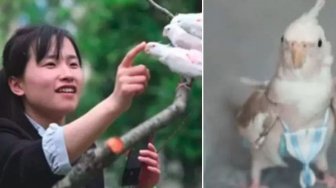 Jualan Popok Khusus Burung, Mantan Perawat Ini Hasilkan 62 Juta Per Bulan 