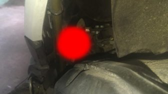 Nyelip di Mesin, Binatang Imut Ini Bikin Pemilik Motor Keteteran