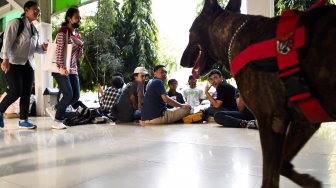 Petugas unit K9 Polda Metro Jaya (unit keamanan dengan bantuan anjing pelacak) merazia narkoba saat gelar patroli cipta kondisi gabungan P4GN di Universitas Nasional, Jakarta, Selasa (25/6). ANTARA FOTO/Galih Pradipta