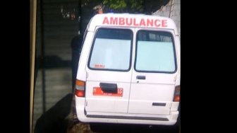 Viral! Ambulans Plat Merah Digunakan untuk Angkut Ratusan Ayam Gratis