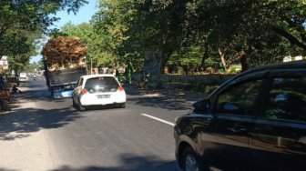 Menakutkan, Itu yang Dirasa Penguna Jalan Dikawasan Jember Selatan