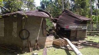 Belasan Gajah Mengamuk, Rumah dan Lahan Warga di Aceh Rusak