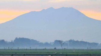 Tersesat di Gunung Lawu, Pria Ini Dituntun Burung Jalak hingga ke Puncak