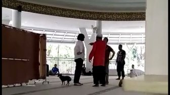 Dewan Masjid Minta Kasus Perempuan Bawa Anjing ke Masjid Tak Diperdebatkan