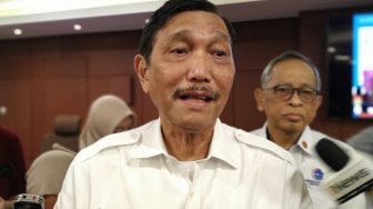 Luhut Klaim Darmawan Prasodjo Cocok Jabat Wakil Dirut PLN