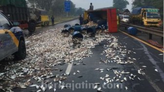 Truk Terguling di Tol Sidoarjo, Ribuan Ikan Mujair Berhamburan di Jalan