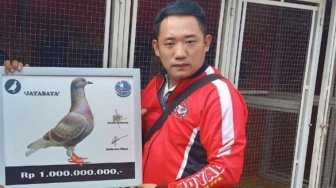 Pria Asal Depok Rela Rogoh Kocek 1M Demi Burung Dara, Apa Istimewanya?
