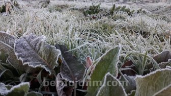 Suhu di Bawah Nol Derajat Celsius, Animo Pendaki Gunung Semeru Tetap Tinggi