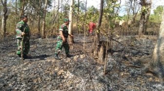 Bakar Sampah di Lereng, Hutan di Gunung Belik Lesung Terbakar