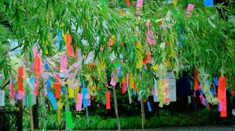 Setelah Libur 2 Tahun, Jepang Kembali Bolehkan Masyarakat Gelar Festival Tanabata