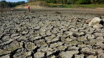 Kemarau, Waduk Grojokan Jombang Mulai Mengering