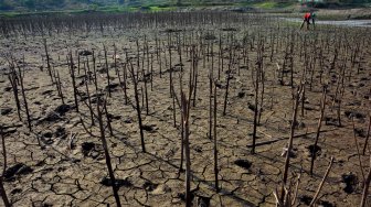 Warga beraktivitas di waduk Grojokan yang mulai mengering di Desa Pelabuhan, Kecamatan Plandaan, Jombang, Jawa Timur, Senin (8/7). ANTARA FOTO/Syaiful Arif