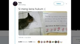 Bikin Gemas, Kucing Ini Dapat Hukuman karena Sering Bawa Cicak