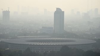 Tangani Polusi, 210 Bibit Mangrove Ditanam di TWA Angke Kapuk