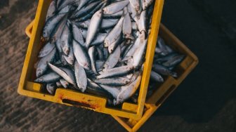 Berwajah Tampan, Penjual Ikan di Pasar Tradisional Ini Bikin Warganet Salfok