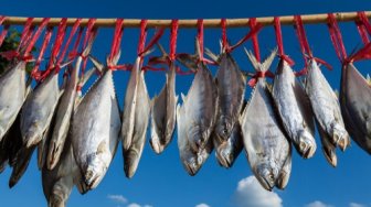 Iseng Ikan Asin Dikasih Perasan Jeruk Nipis, 'Pasukan' yang Tiba-Tiba Keluar Bikin Merinding
