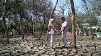 Kemarau, Fenomena Tanah Retak Jadi Lokasi Swafoto dan Prewedding Dadakan