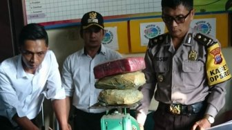 Warga Limapuluh Kota Digemparkan Temuan Ratusan Kilogram Ganja Tak Bertuan