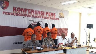 Polri Gagalkan Penyelundupan Benih Lobster ke Singapura, 4 Orang Diringkus