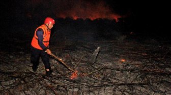 Biang Kerok Kebakaran Hutan dan Lahan, 52 Korporasi Disegel KLHK