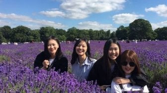 Populer di Inggris, Segini Tarif Menikmati Mayfield Lavender nan Memesona