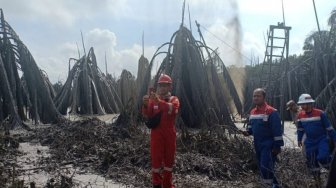 Akibat Pengeboran Minyak Ilegal, Kebun Sawit Milik Warga di Muba Rusak