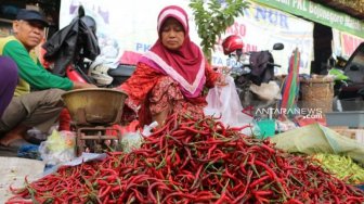 Harga Cabai Kelewat Pedas di Ogan Komering Ulu, Tembus Rp 100 Ribu Per Kilo