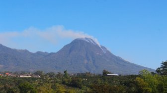 Ini Luasan Hutan Lindung Gunung Panderman yang Hangus Terbakar