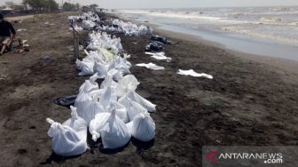 Pasir Bercampur Minyak Menumpuk di Pantai Sedari