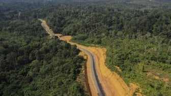 Foto udara kawasan Bukit Nyuling, Tumbang Talaken Manuhing, Gunung Mas, Kalimantan Tengah, Kamis (25/7). [ANTARA FOTO/Hafidz Mubarak]