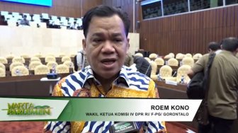 Komisi IV Akan Cabut Izin Perusahaan Perambah Hutan Liar