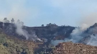Kebakaran Hutan Gunung Pakuwojo di Dieng Capai Puluhan Hektare