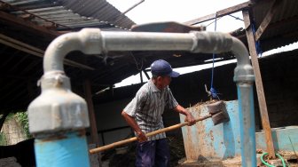 Proses pengolahan biogas di peternakan sapi milik Pondok Pesantren Assyafaat, Depok, Jawa Barat, Senin (29/7).[Suara.com/Arief hermawan P]