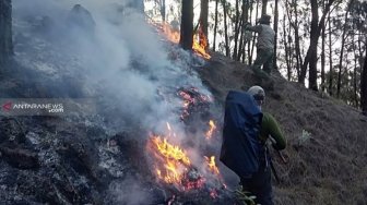 Tim Pemadam Kesulitan Jangkau Titik Kebakaran Hutan Gunung Arjuna