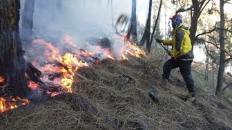 Setelah Kebakaran, Gunung Arjuno Sepi Pendakian Upacara Kemerdekaan