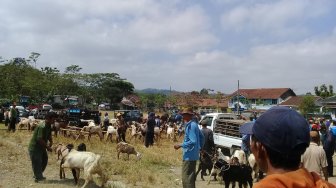 Jelang Iduladha, Pasar Hewan Ini Diperluas untuk Menampung Kambing Kurban