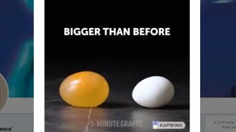 Viral Video Telur Ayam Bisa Bertambah Besar, Buat Warganet Heran