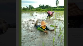 Indonesia Jadi Negara Paling Santai di Dunia, Begini Respon Kocak Warganet