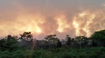 Kabut Asap, Kualitas Udara di Duri Tidak Sehat